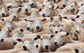 12 урок: ПРИЗНАКИ ЛЖЕХРИСТИАН (Противостояние…)